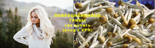 амфетамин Абинск