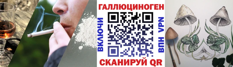 omg ТОР  где продают   Нелидово  Псилоцибиновые грибы Cubensis 